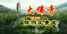 日本的小逼被大黑鸡巴操中国浙江-新昌大佛寺旅游风景区